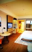 Туры в отель Vienna International Hotel (Shehong Tulip hotel) Туры в отель Vienna International Hotel (Shehong Tulip hotel)
