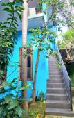 Туры в отель Bamboo Paradise Туры в отель Bamboo Paradise