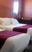 Туры в отель Kyriad Direct Orleans Nord - Cap Saran Туры в отель Kyriad Direct Orleans Nord - Cap Saran