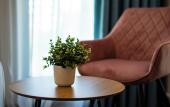 Туры в отель Aurora Sofia Hotel Туры в отель Aurora Sofia Hotel