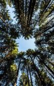 Туры в отель Hotel Julian Alps Туры в отель Hotel Julian Alps