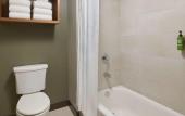 Туры в отель Great Wolf Lodge Naples Туры в отель Great Wolf Lodge Naples
