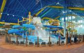Туры в отель Great Wolf Lodge Naples Туры в отель Great Wolf Lodge Naples