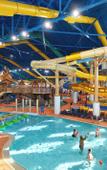 Туры в отель Great Wolf Lodge Naples Туры в отель Great Wolf Lodge Naples