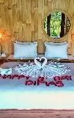 Туры в отель KALMA Bamboo Eco Lodge Туры в отель KALMA Bamboo Eco Lodge