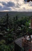 Туры в отель KALMA Bamboo Eco Lodge Туры в отель KALMA Bamboo Eco Lodge