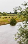Туры в отель Tholes*** Am Allerpark Verden Туры в отель Tholes*** Am Allerpark Verden