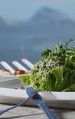 Туры в отель Golden Tulip Ipanema Plaza Туры в отель Golden Tulip Ipanema Plaza