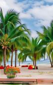 Туры в отель THIEN TAN HOTEL Туры в отель THIEN TAN HOTEL