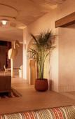Туры в отель Amarello Hotel Praia Santo Andre, Tapestry Collection Hilton Туры в отель Amarello Hotel Praia Santo Andre, Tapestry Collection Hilton