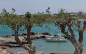 Туры в отель Salt Suites Paros Туры в отель Salt Suites Paros