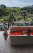 Туры в отель Camaya Bali Туры в отель Camaya Bali