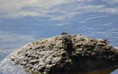 Туры в отель PERIDOT BY-THE-SEA @ REDANG Туры в отель PERIDOT BY-THE-SEA @ REDANG