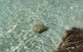 Туры в отель PERIDOT BY-THE-SEA @ REDANG Туры в отель PERIDOT BY-THE-SEA @ REDANG