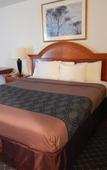 Туры в отель North Miami Beach Gardens Inn & Suites Туры в отель North Miami Beach Gardens Inn & Suites