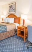 Туры в отель North Miami Beach Gardens Inn & Suites Туры в отель North Miami Beach Gardens Inn & Suites
