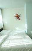 Туры в отель Alohas Hostel Туры в отель Alohas Hostel