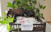 Туры в отель Dragon Hostel Туры в отель Dragon Hostel