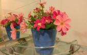 Туры в отель Geo-Home Holiday Hotel Туры в отель Geo-Home Holiday Hotel