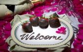 Туры в отель Hotel Amarano Burbank - Hollywood Туры в отель Hotel Amarano Burbank - Hollywood