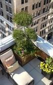 Туры в отель Hotel AKA NoMad Туры в отель Hotel AKA NoMad