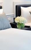 Туры в отель Hotel AKA NoMad Туры в отель Hotel AKA NoMad