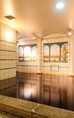 Туры в отель SUPER HOTEL Osaka Natural Hot Spring Туры в отель SUPER HOTEL Osaka Natural Hot Spring