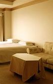 Туры в отель Hotel Seagull Tempozan Osaka Туры в отель Hotel Seagull Tempozan Osaka