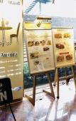 Туры в отель Tokyo Garden Palace Туры в отель Tokyo Garden Palace