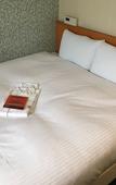 Туры в отель HOTEL emisia TOKYO TACHIKAWA Туры в отель HOTEL emisia TOKYO TACHIKAWA