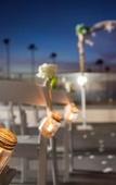 Туры в отель SpringHill Suites by Marriott Oceanside Beach Туры в отель SpringHill Suites by Marriott Oceanside Beach
