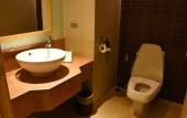 Туры в отель Grand Richmond Stylish Convention Hotel Туры в отель Grand Richmond Stylish Convention Hotel