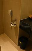 Туры в отель Grand Richmond Stylish Convention Hotel Туры в отель Grand Richmond Stylish Convention Hotel