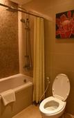 Туры в отель Grand Richmond Stylish Convention Hotel Туры в отель Grand Richmond Stylish Convention Hotel