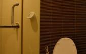 Туры в отель Grand Richmond Stylish Convention Hotel Туры в отель Grand Richmond Stylish Convention Hotel