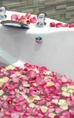 Туры в отель Grand Richmond Stylish Convention Hotel Туры в отель Grand Richmond Stylish Convention Hotel