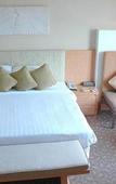 Туры в отель Grand Richmond Stylish Convention Hotel Туры в отель Grand Richmond Stylish Convention Hotel