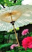 Туры в отель Hotel New Touhoku Туры в отель Hotel New Touhoku
