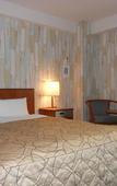 Туры в отель Hotel New Touhoku Туры в отель Hotel New Touhoku