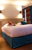 Туры в отель Hotel Piapia Туры в отель Hotel Piapia