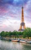 Туры в отель Madrigal hotel Туры в отель Madrigal hotel
