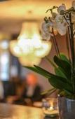 Туры в отель Hotel Chariot Туры в отель Hotel Chariot