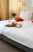 Туры в отель Alp de Veenen Hotel Туры в отель Alp de Veenen Hotel