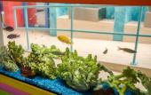 Туры в отель Sands Harbor Resort and Marina Туры в отель Sands Harbor Resort and Marina