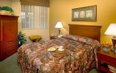 Туры в отель Mizner Place at Weston Town Center, Fort Lauderdale Туры в отель Mizner Place at Weston Town Center, Fort Lauderdale