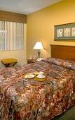 Туры в отель Mizner Place at Weston Town Center, Fort Lauderdale Туры в отель Mizner Place at Weston Town Center, Fort Lauderdale