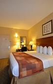Туры в отель Sheridan Hotel Туры в отель Sheridan Hotel