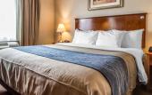 Туры в отель Avion Inn Near LGA Airport, an Ascend Collection Hotel Туры в отель Avion Inn Near LGA Airport, an Ascend Collection Hotel
