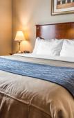 Туры в отель Avion Inn Near LGA Airport, an Ascend Collection Hotel Туры в отель Avion Inn Near LGA Airport, an Ascend Collection Hotel
