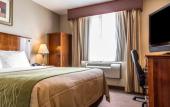 Туры в отель Avion Inn Near LGA Airport, an Ascend Collection Hotel Туры в отель Avion Inn Near LGA Airport, an Ascend Collection Hotel